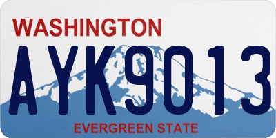 WA license plate AYK9013