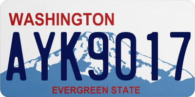 WA license plate AYK9017