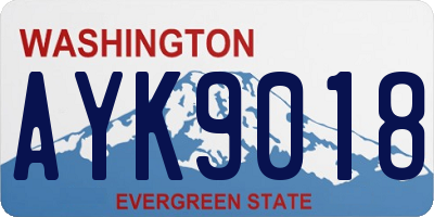 WA license plate AYK9018