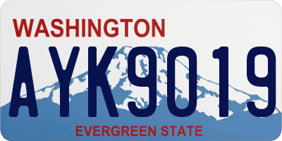 WA license plate AYK9019