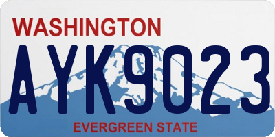 WA license plate AYK9023