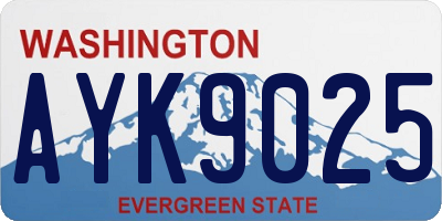 WA license plate AYK9025