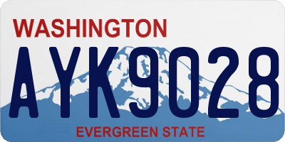 WA license plate AYK9028