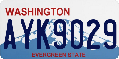 WA license plate AYK9029