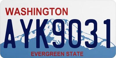 WA license plate AYK9031