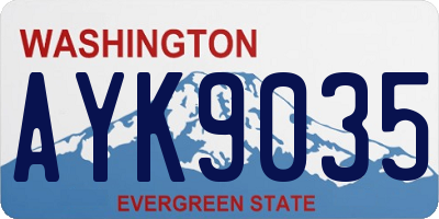 WA license plate AYK9035