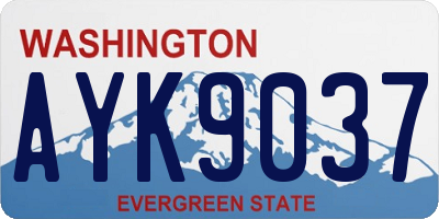WA license plate AYK9037