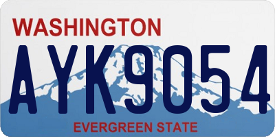 WA license plate AYK9054