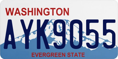 WA license plate AYK9055