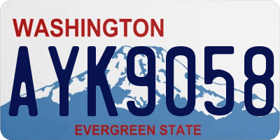 WA license plate AYK9058