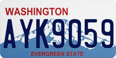 WA license plate AYK9059