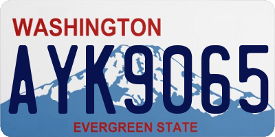 WA license plate AYK9065