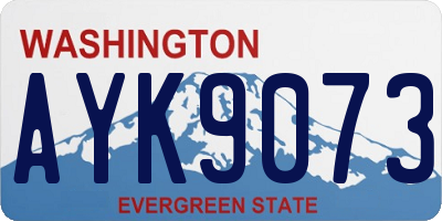 WA license plate AYK9073