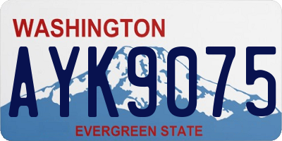 WA license plate AYK9075