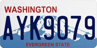 WA license plate AYK9079