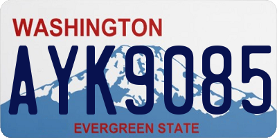 WA license plate AYK9085