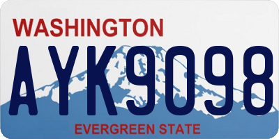 WA license plate AYK9098