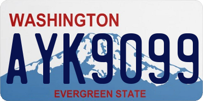 WA license plate AYK9099