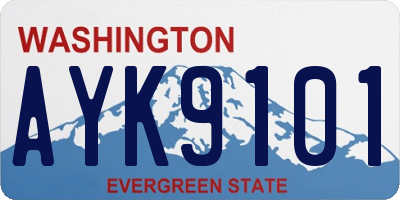 WA license plate AYK9101