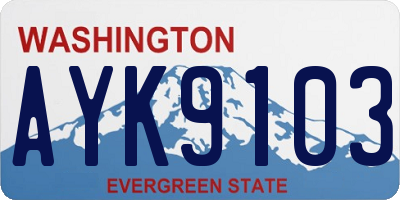 WA license plate AYK9103