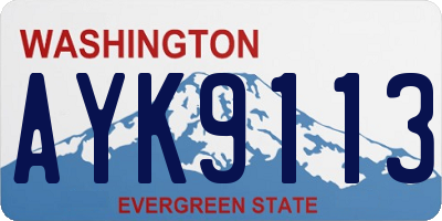 WA license plate AYK9113