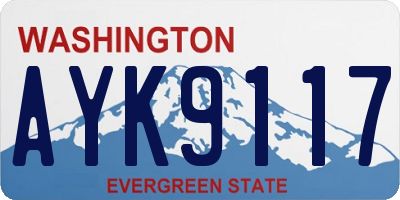 WA license plate AYK9117