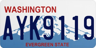 WA license plate AYK9119