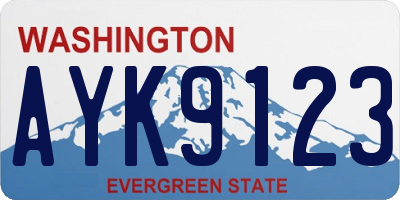 WA license plate AYK9123