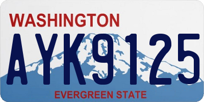 WA license plate AYK9125