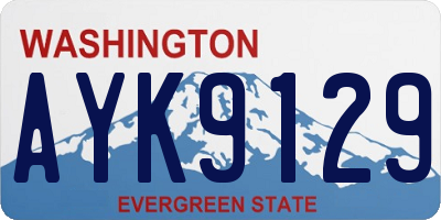 WA license plate AYK9129