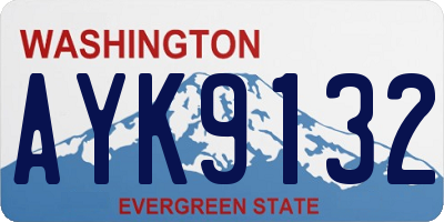 WA license plate AYK9132