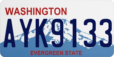WA license plate AYK9133
