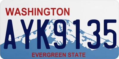 WA license plate AYK9135