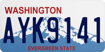 WA license plate AYK9141