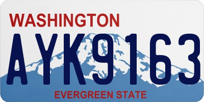 WA license plate AYK9163