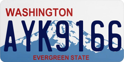 WA license plate AYK9166