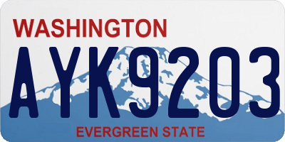 WA license plate AYK9203