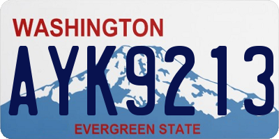 WA license plate AYK9213