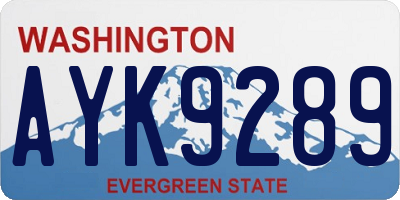 WA license plate AYK9289
