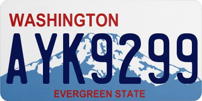 WA license plate AYK9299