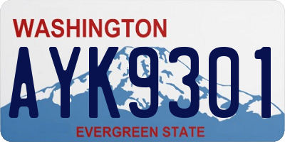 WA license plate AYK9301