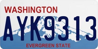 WA license plate AYK9313
