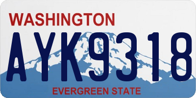 WA license plate AYK9318