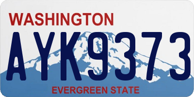 WA license plate AYK9373