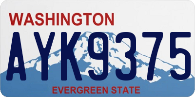 WA license plate AYK9375