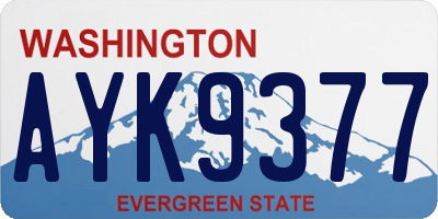 WA license plate AYK9377