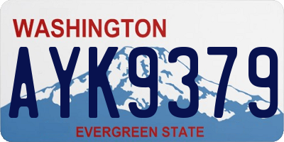 WA license plate AYK9379