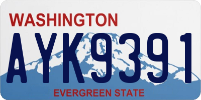 WA license plate AYK9391