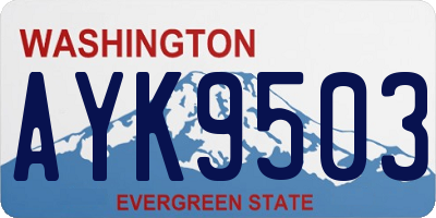 WA license plate AYK9503