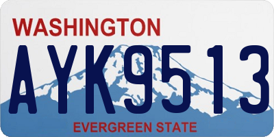 WA license plate AYK9513